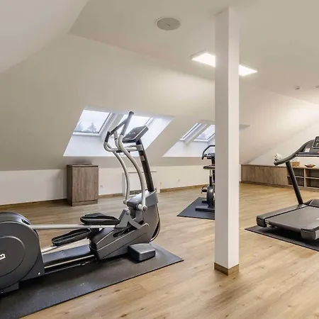 Hotel Aiden By Western Biberach 3*