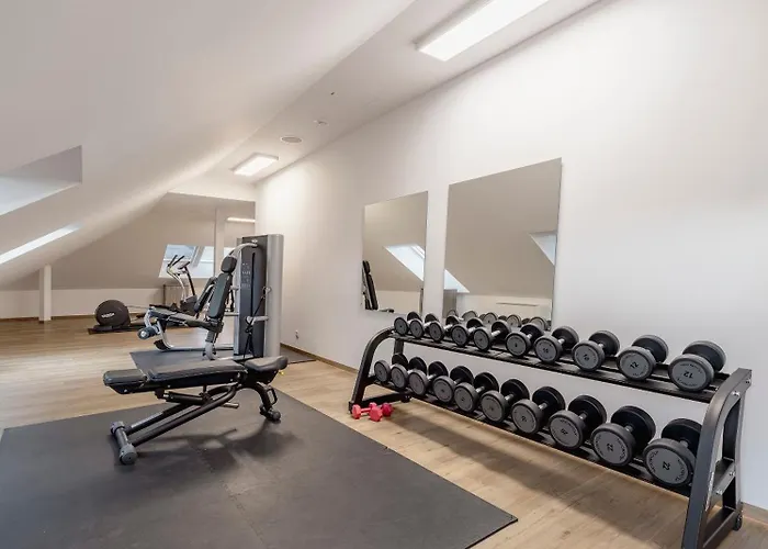 Hotell Aiden By Western Biberach 3*