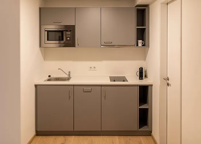 Hotell Aiden By Western Biberach 3*